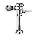 Manual Flush Valves image